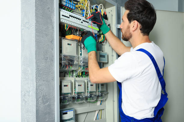 Best Electric Panel Repair  in Arbutus, MD